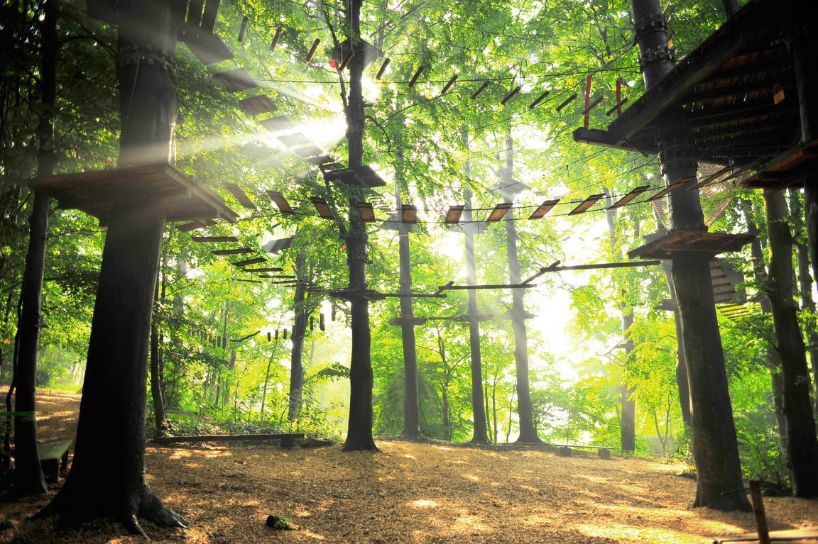 Der Hochseilgarten im morgendlichen Gegenlicht